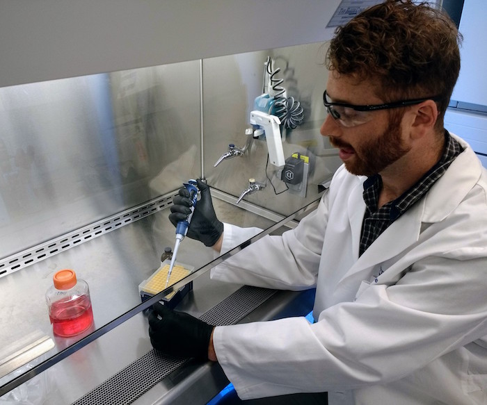 Research looking at samples